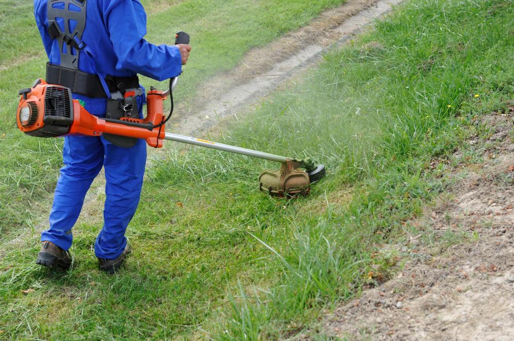 Débroussaillage près de Louveciennes