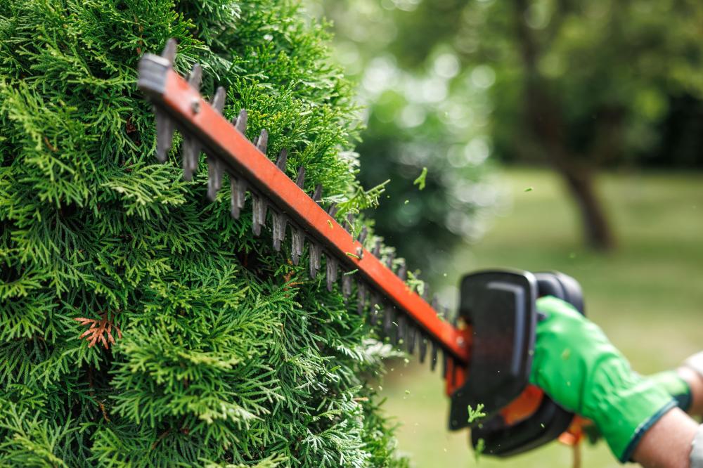 Entretien de jardin près de Louveciennes