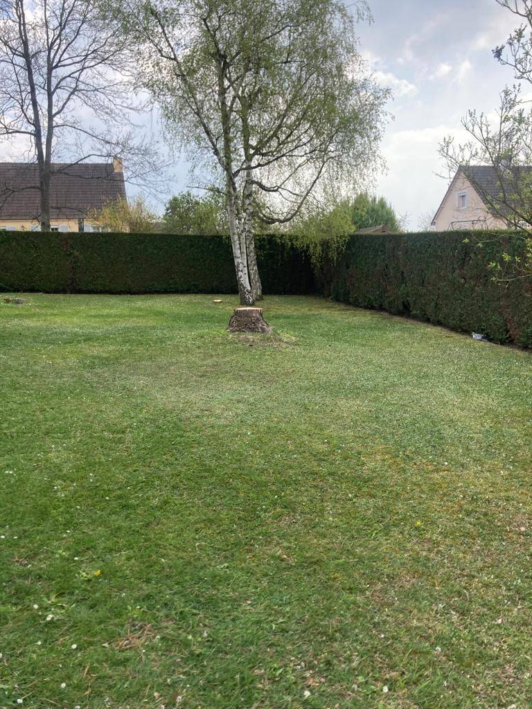 abattage (1)